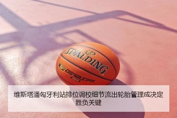 维斯塔潘匈牙利站排位调校细节流出轮胎管理成决定胜负关键